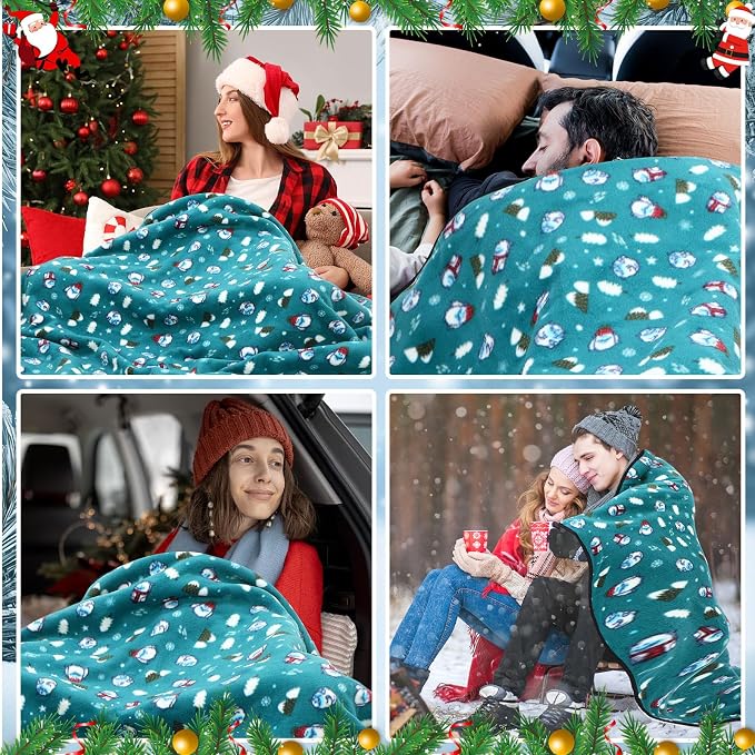 Riakrum 12V Car Heated Blanket for Cold - Image 6