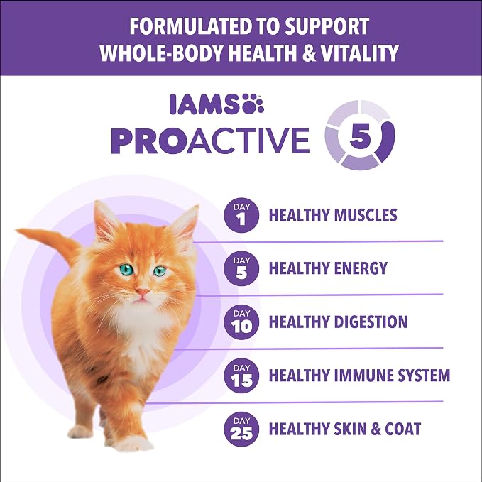 IAMS Proactive Health Healthy Kitten Dry Cat Food Salmon Recipe, 16 lb. Bag - Image 5