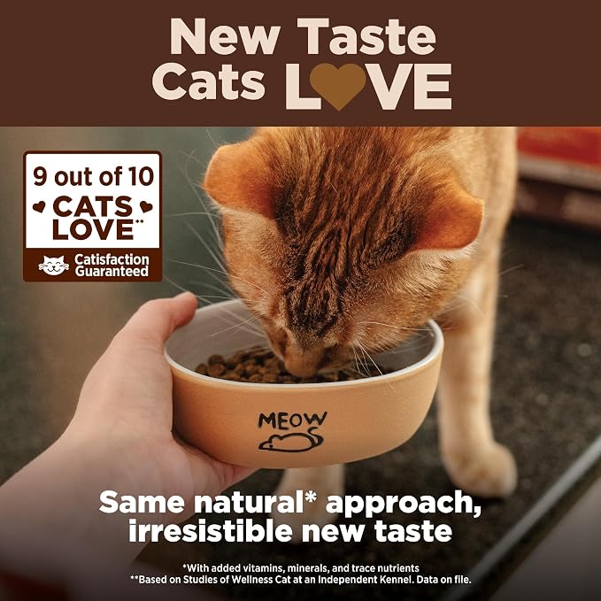 Wellness CORE Kitten Dry Cat Food, Grain Free Kibble, Turkey Meal and Chicken - Image 5