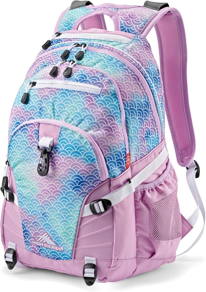 High Sierra Loop Backpack, or Work Bookbag by HighSierra