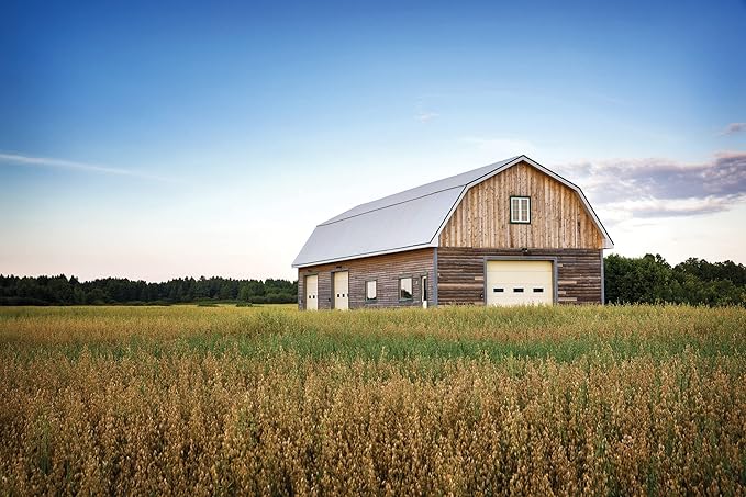 Lithonia Lighting BarnGuard LED Barn Light, Dusk to Dawn Outdoor Lighting - Image 9