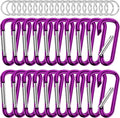 sprookber 2.28" Small Carabiner Clip Keychain, D Ring Caribeaner Clip, Key Clip by Sprookber