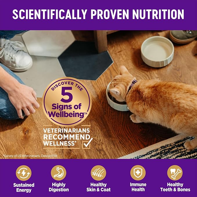 Wellness Complete Health Adult Dry Cat Food - Image 4