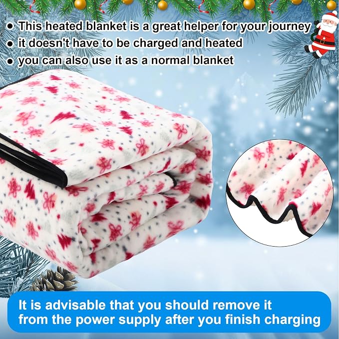 Riakrum 12V Car Heated Blanket for Cold - Image 5