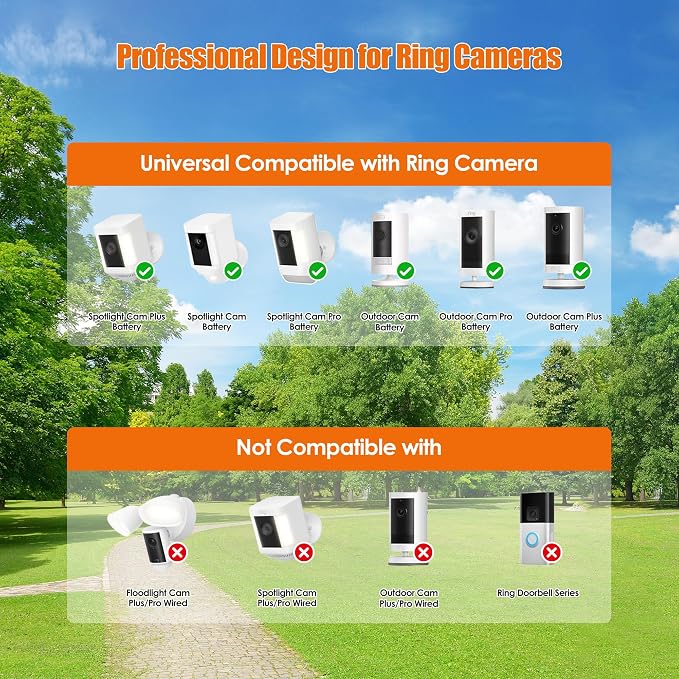 Solar Panel and 2-in-1 Wall Mount - Image 2