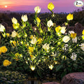 GIGALUMI Solar Garden Lights by GIGALUMI