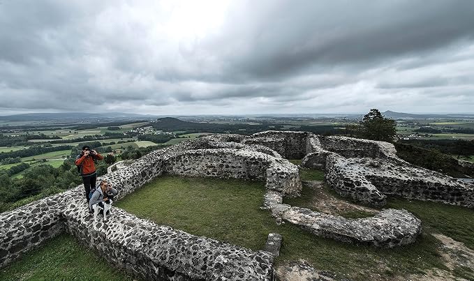 Steiner Safari UltraSharp Binoculars Compact Lightweight Performance Outdoor - Image 4