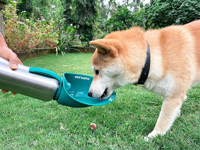 PupFlask Large Dog Water Bottle | 27 or 40 OZ Stainless Steel | Convenient Dog - Image 9