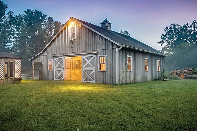 Lithonia Lighting BarnGuard LED Barn Light, Dusk to Dawn Outdoor Lighting - Image 8