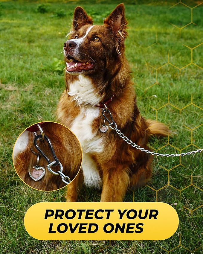 Carabiner Clip 5 PCS - Image 6