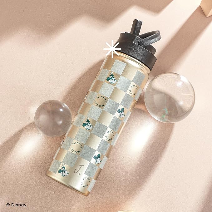 JoyJolt Disney Retro Vintage Stainless Steel Water Bottle ft Mickey & Minnie - Image 7