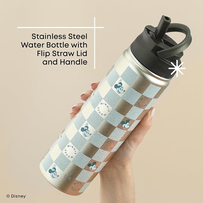 JoyJolt Disney Retro Vintage Stainless Steel Water Bottle ft Mickey & Minnie - Image 4
