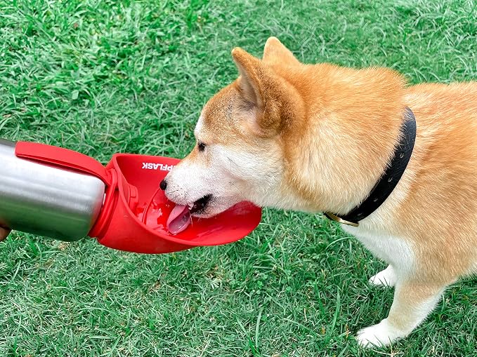 PupFlask Large Dog Water Bottle | 27 or 40 OZ Stainless Steel | Convenient Dog - Image 9