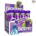 Zipfizz Daily Energy Drink Powder, 12 Pack | 3-in-1 Sustained Energy, Rapid by Zipfizz