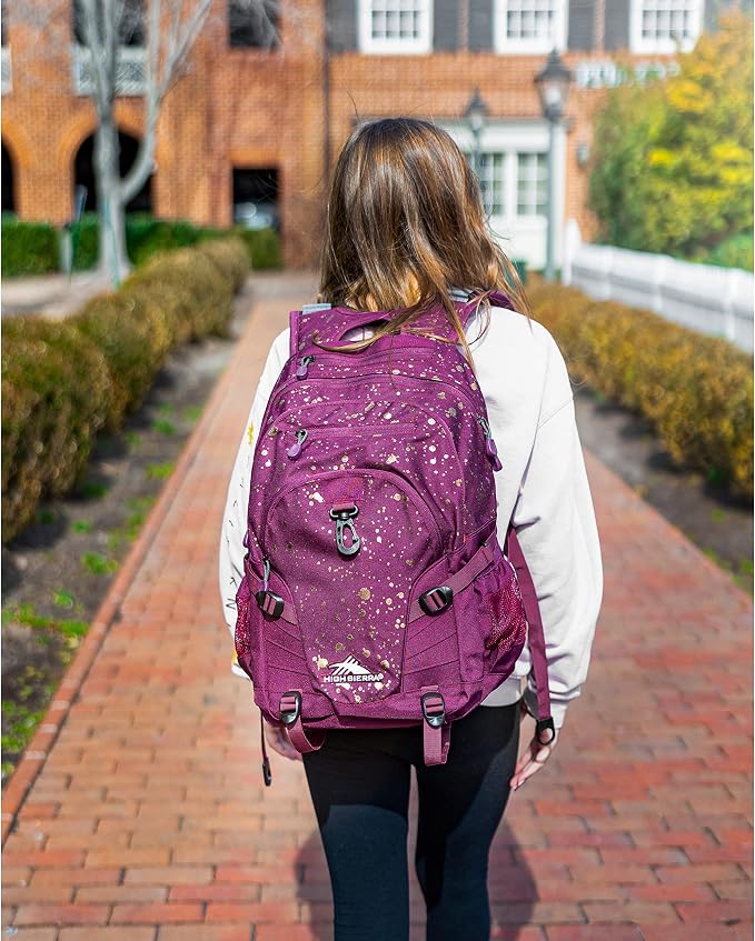 High Sierra Loop Backpack, or Work Bookbag - Image 6