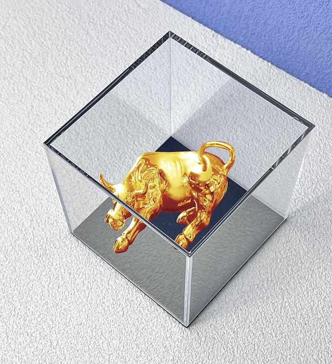 Acrylic Display Case - Image 7