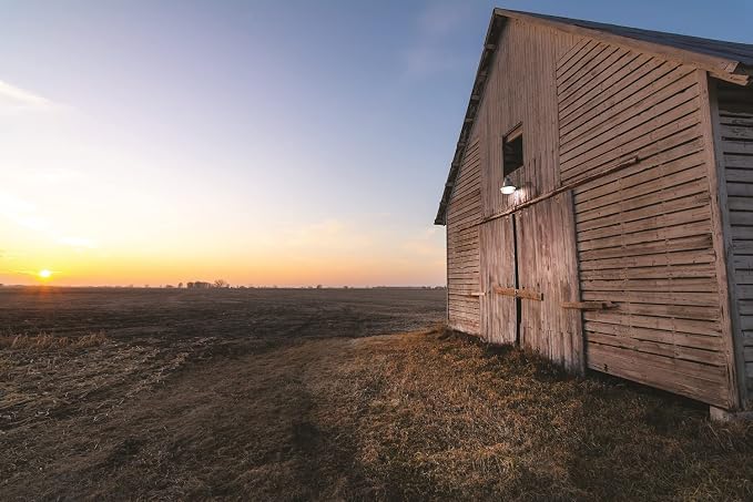 Lithonia Lighting BarnGuard LED Barn Light, Dusk to Dawn Outdoor Lighting - Image 9