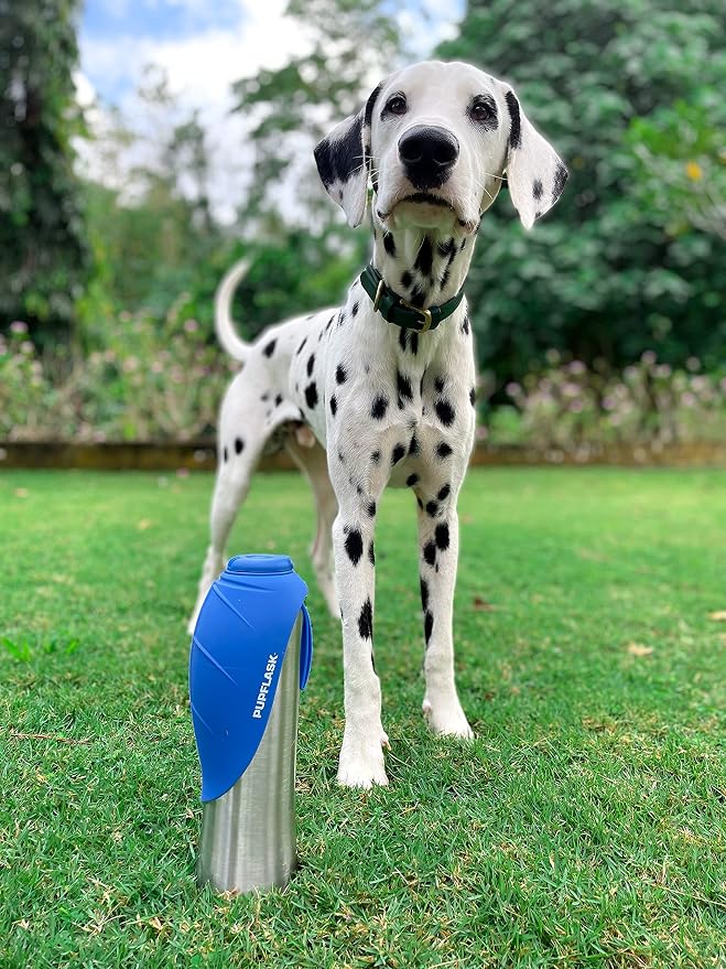 PupFlask Large Dog Water Bottle | 27 or 40 OZ Stainless Steel | Convenient Dog - Image 9
